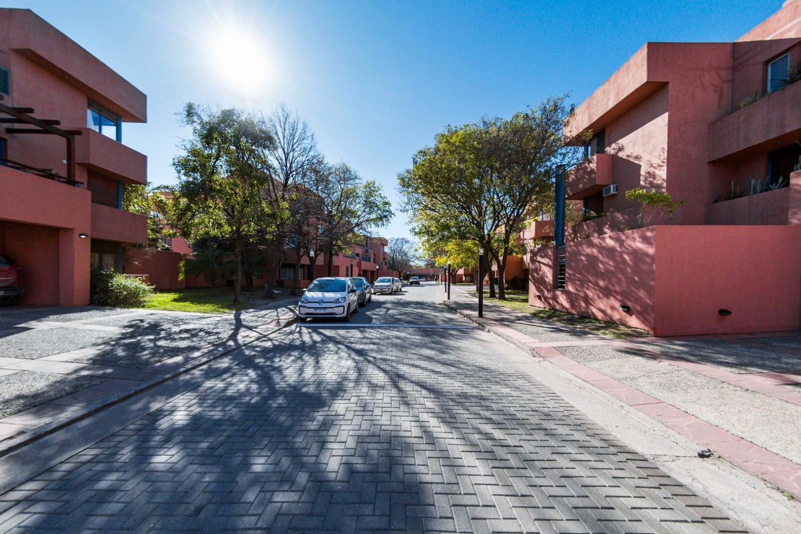 WhatsApp Image 2026-02-25 at 14.48.10 (4)